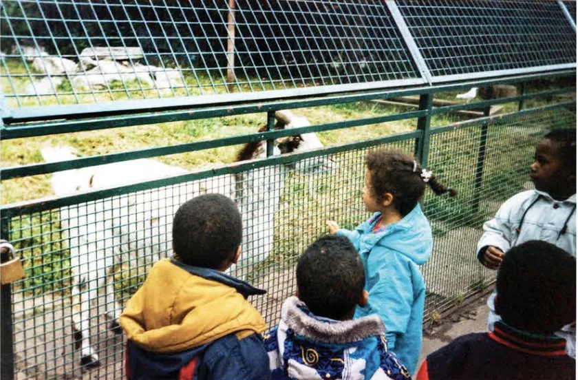 Nello James Foundation - Image 41