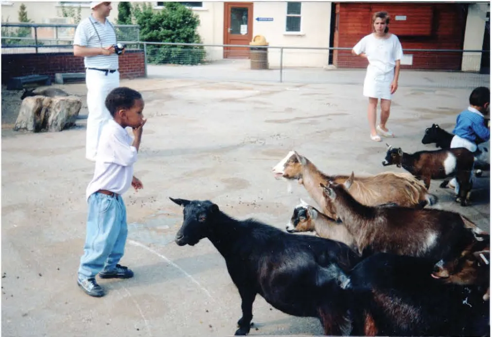 Nello James Foundation - Image 43